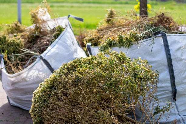 Debris Removal in Tanglewilde, WA